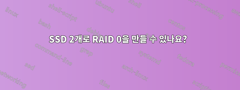 SSD 2개로 RAID 0을 만들 수 있나요? 