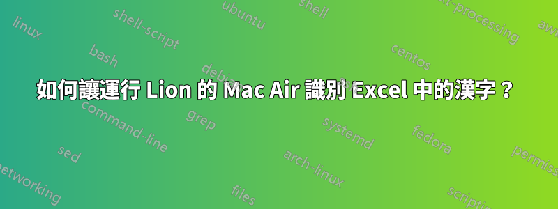 如何讓運行 Lion 的 Mac Air 識別 Excel 中的漢字？