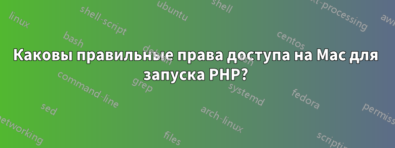 Каковы правильные права доступа на Mac для запуска PHP?