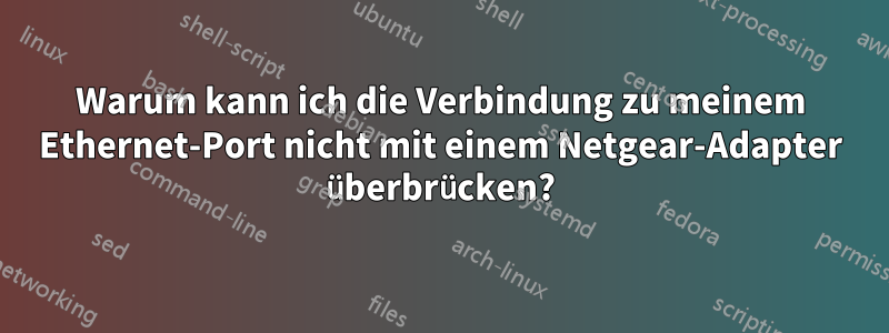 Warum kann ich die Verbindung zu meinem Ethernet-Port nicht mit einem Netgear-Adapter überbrücken?