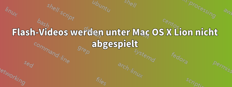 Flash-Videos werden unter Mac OS X Lion nicht abgespielt