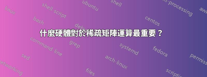 什麼硬體對於稀疏矩陣運算最重要？ 