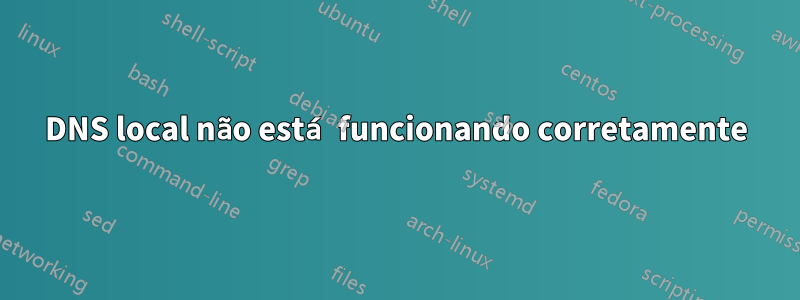 DNS local não está funcionando corretamente