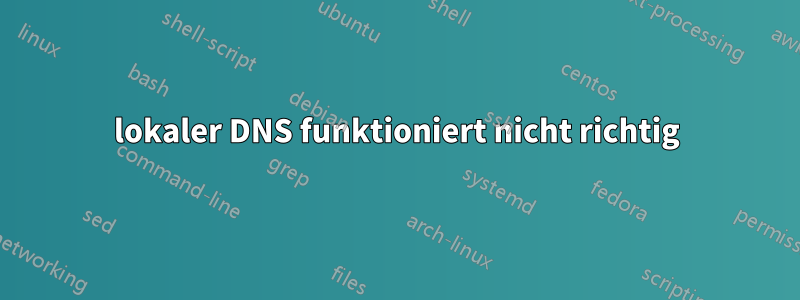 lokaler DNS funktioniert nicht richtig