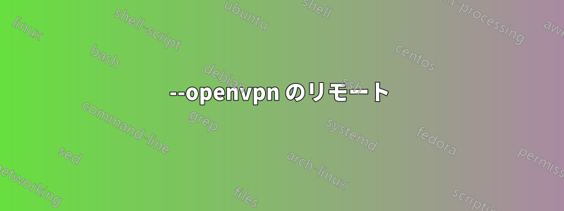 --openvpn のリモート