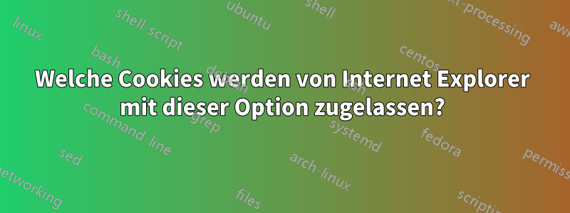 Welche Cookies werden von Internet Explorer mit dieser Option zugelassen?