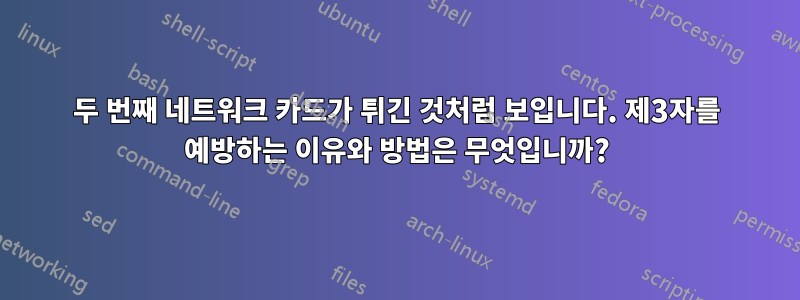 두 번째 네트워크 카드가 튀긴 것처럼 보입니다. 제3자를 예방하는 이유와 방법은 무엇입니까?