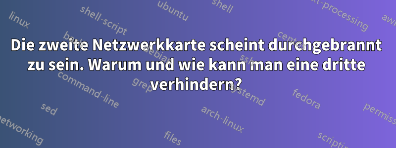 Die zweite Netzwerkkarte scheint durchgebrannt zu sein. Warum und wie kann man eine dritte verhindern?