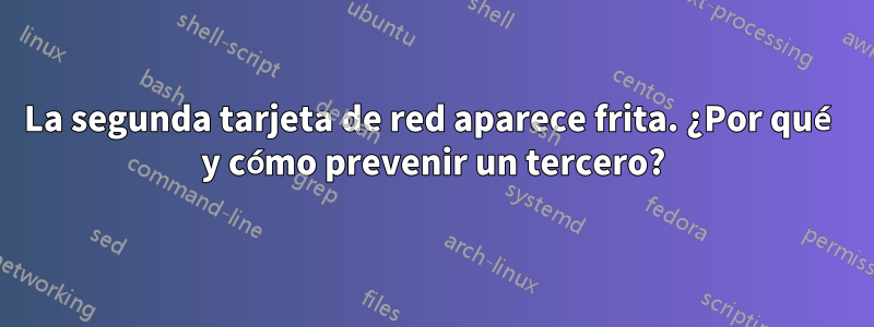 La segunda tarjeta de red aparece frita. ¿Por qué y cómo prevenir un tercero?