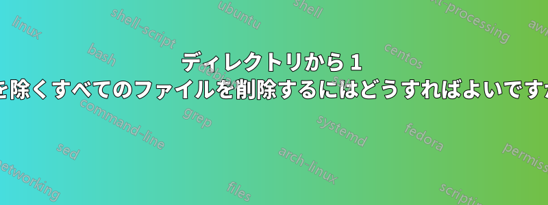 ディレクトリから 1 つを除くすべてのファイルを削除するにはどうすればよいですか? 