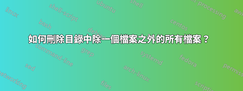 如何刪除目錄中除一個檔案之外的所有檔案？ 