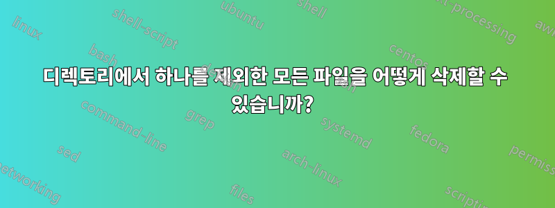 디렉토리에서 하나를 제외한 모든 파일을 어떻게 삭제할 수 있습니까? 