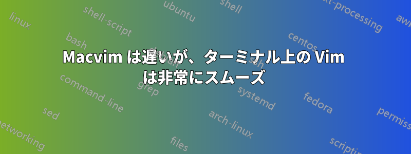 Macvim は遅いが、ターミナル上の Vim は非常にスムーズ