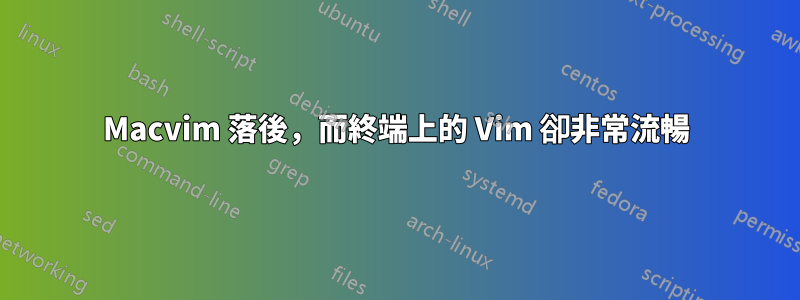 Macvim 落後，而終端上的 Vim 卻非常流暢