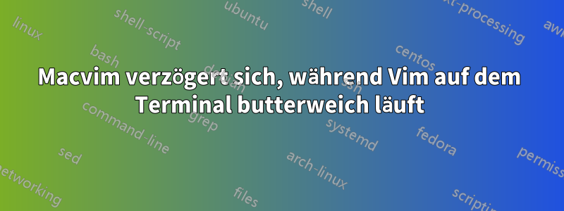 Macvim verzögert sich, während Vim auf dem Terminal butterweich läuft