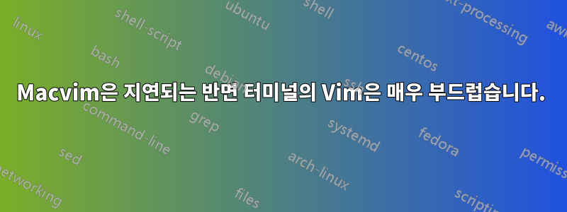 Macvim은 지연되는 반면 터미널의 Vim은 매우 부드럽습니다.