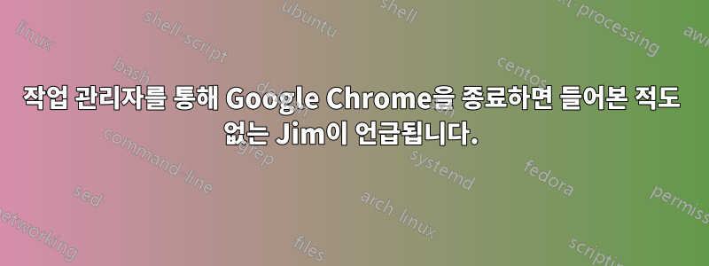 작업 관리자를 통해 Google Chrome을 종료하면 들어본 적도 없는 Jim이 언급됩니다.