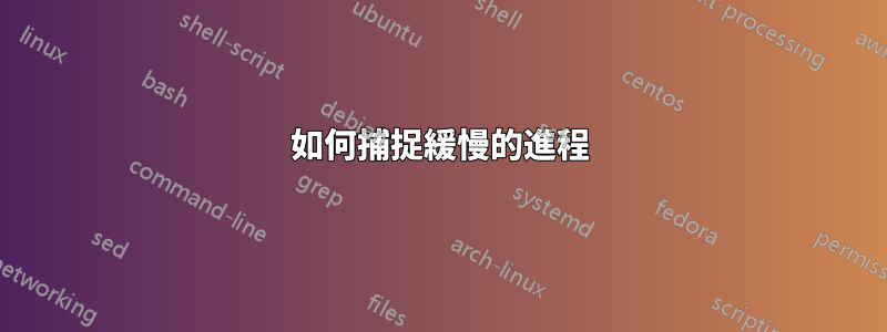 如何捕捉緩慢的進程