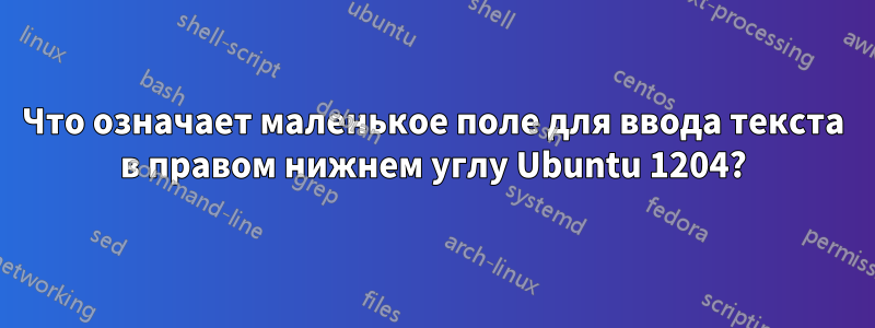 Что означает маленькое поле для ввода текста в правом нижнем углу Ubuntu 1204?