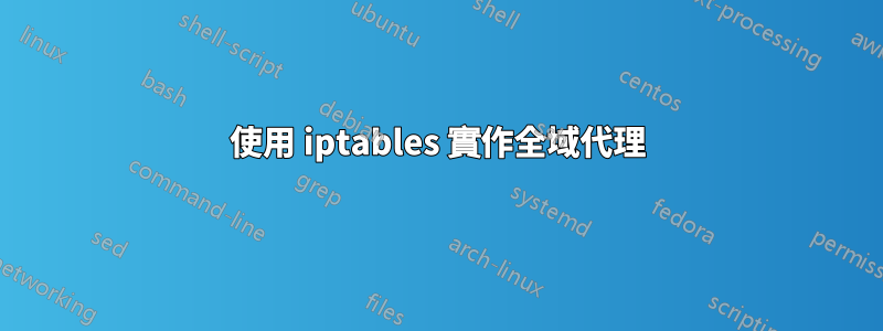 使用 iptables 實作全域代理