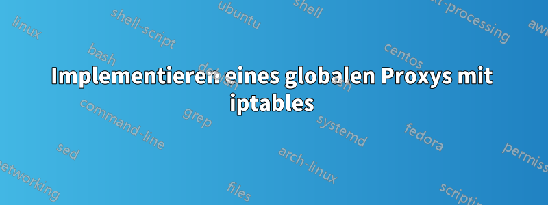 Implementieren eines globalen Proxys mit iptables