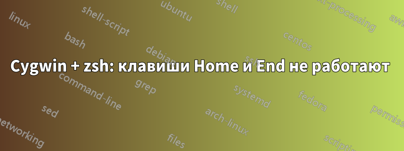 Cygwin + zsh: клавиши Home и End не работают