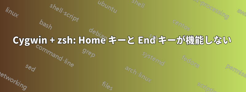 Cygwin + zsh: Home キーと End キーが機能しない