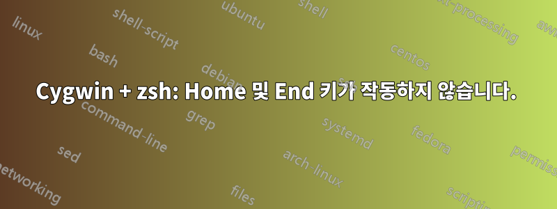 Cygwin + zsh: Home 및 End 키가 작동하지 않습니다.