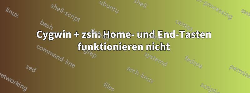 Cygwin + zsh: Home- und End-Tasten funktionieren nicht