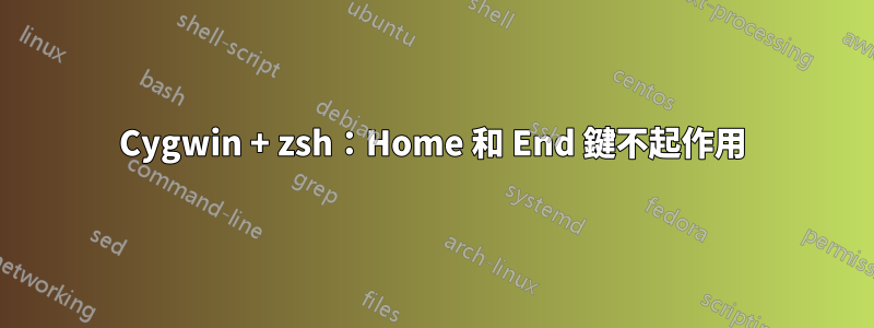 Cygwin + zsh：Home 和 End 鍵不起作用