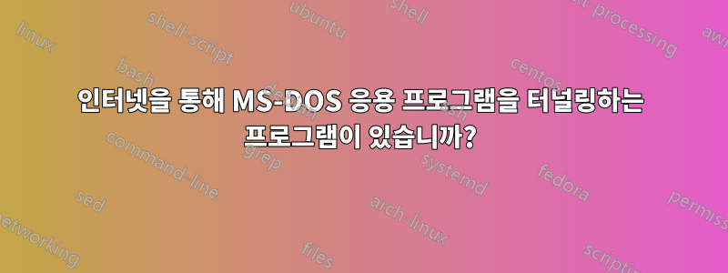 인터넷을 통해 MS-DOS 응용 프로그램을 터널링하는 프로그램이 있습니까?