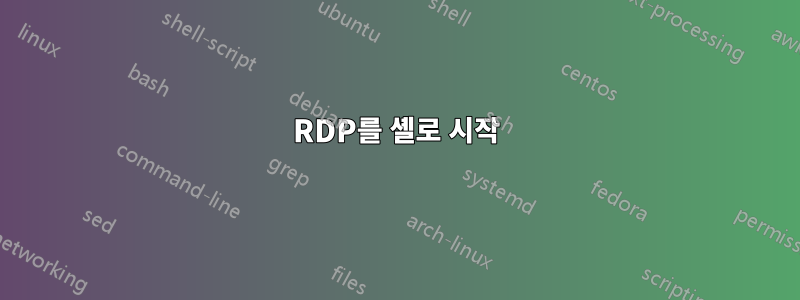 RDP를 셸로 시작