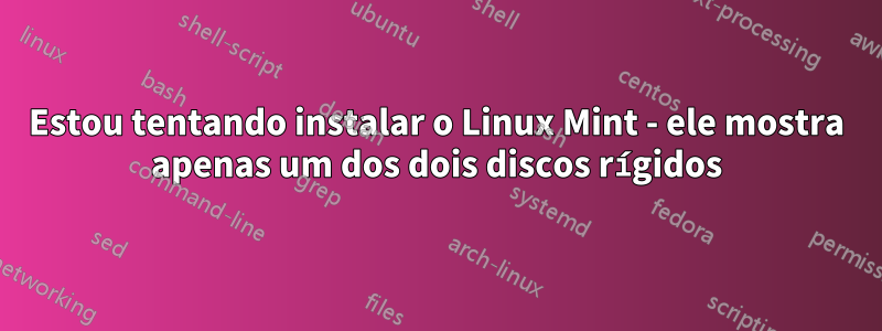 Estou tentando instalar o Linux Mint - ele mostra apenas um dos dois discos rígidos