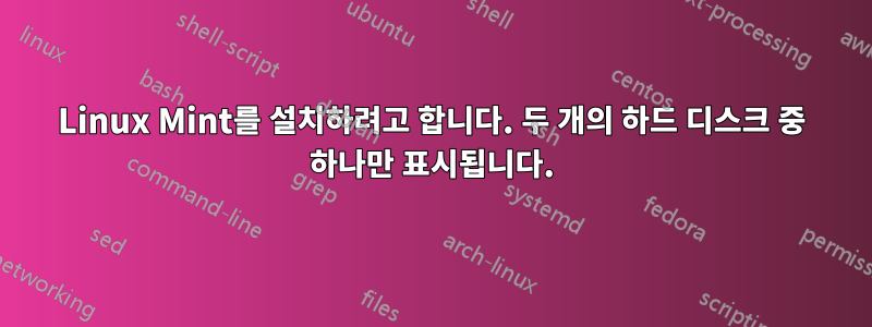 Linux Mint를 설치하려고 합니다. 두 개의 하드 디스크 중 하나만 표시됩니다.