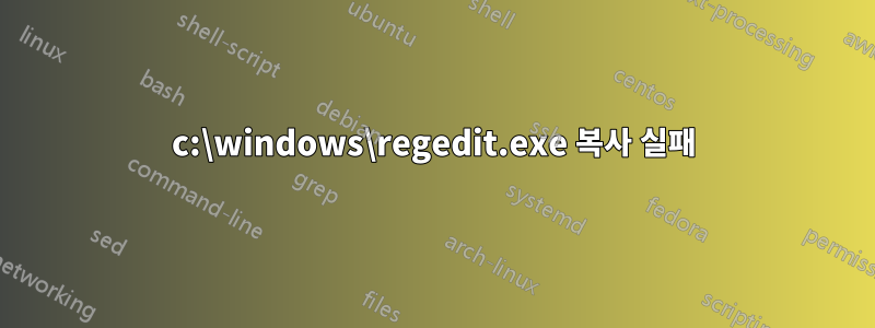 c:\windows\regedit.exe 복사 실패