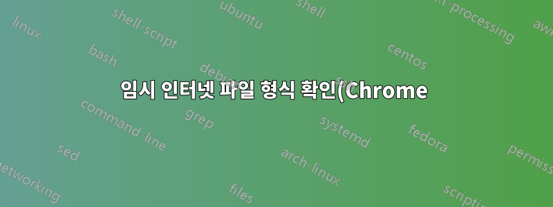임시 인터넷 파일 형식 확인(Chrome)