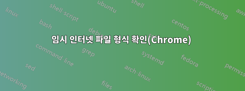 임시 인터넷 파일 형식 확인(Chrome)