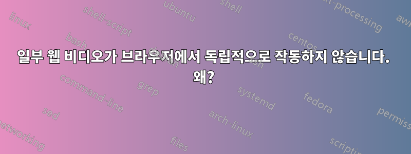 일부 웹 비디오가 브라우저에서 독립적으로 작동하지 않습니다. 왜?