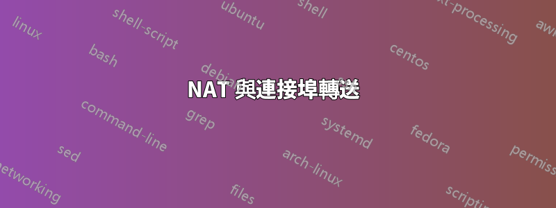 NAT 與連接埠轉送 