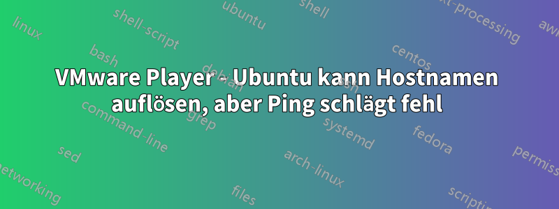 VMware Player - Ubuntu kann Hostnamen auflösen, aber Ping schlägt fehl