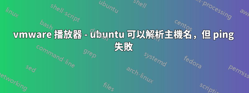 vmware 播放器 - ubuntu 可以解析主機名，但 ping 失敗