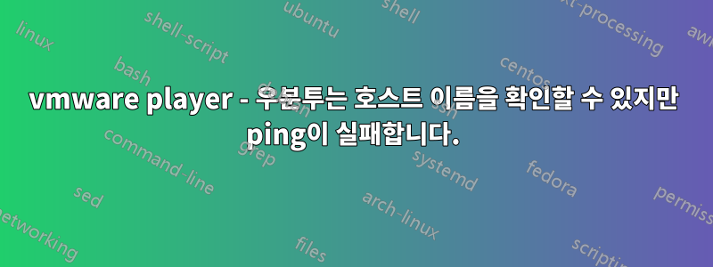 vmware player - 우분투는 호스트 이름을 확인할 수 있지만 ping이 실패합니다.