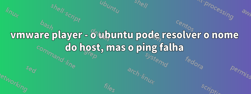 vmware player - o ubuntu pode resolver o nome do host, mas o ping falha