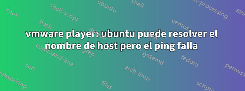 vmware player: ubuntu puede resolver el nombre de host pero el ping falla