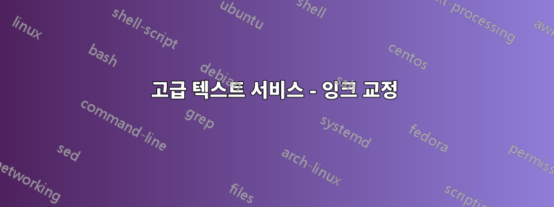 고급 텍스트 서비스 - 잉크 교정