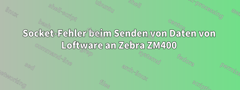 Socket-Fehler beim Senden von Daten von Loftware an Zebra ZM400