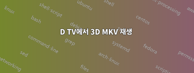 3D TV에서 3D MKV 재생