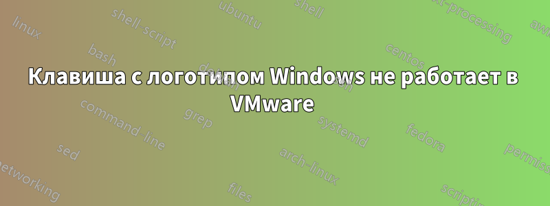 Клавиша с логотипом Windows не работает в VMware