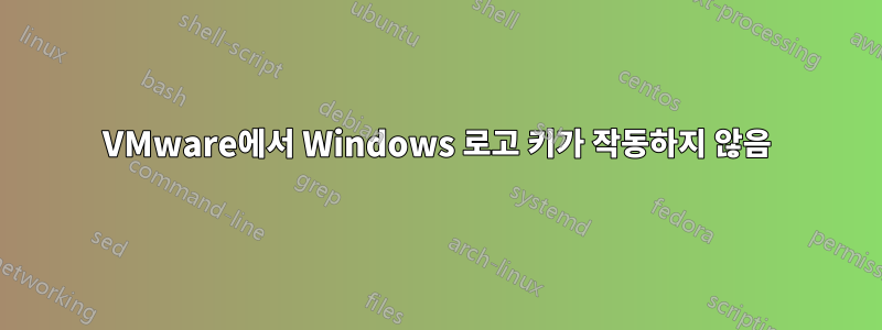 VMware에서 Windows 로고 키가 작동하지 않음