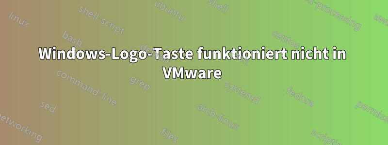 Windows-Logo-Taste funktioniert nicht in VMware